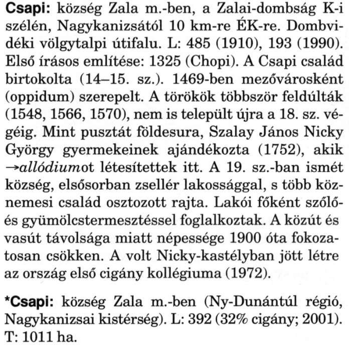 Csapi - Magyar Nagylexikon.jpg Csapi - Magyar Nagylexikon.jpg
