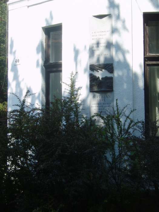Sárospatak, Kazinczy u. 40. 2.kép.jpg Sárospatak, Kazinczy u. 40. 2.kép.jpg